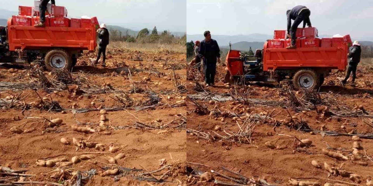 Trasporto multifunzionale