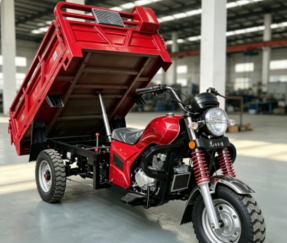 Open body cargo tricycle