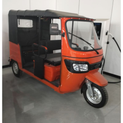 Electric tricycle adults 7