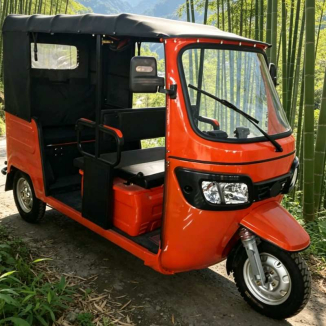 Elektrischer Rikschaw