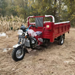 Motos à trois roues pour adultes