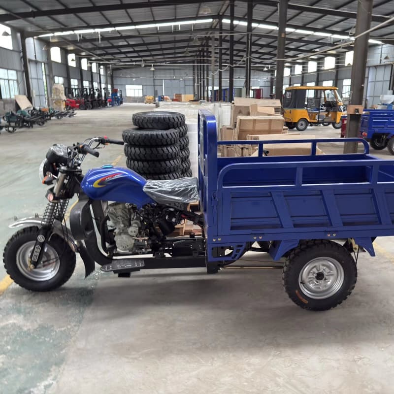 Gas powered trike bike