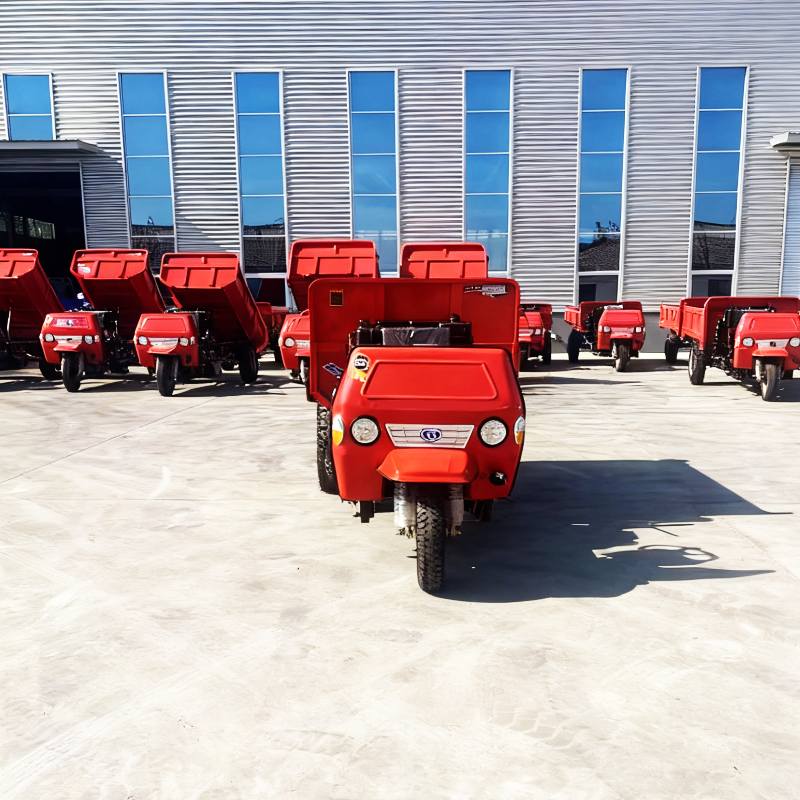 2 Ton Diesel Tricycle