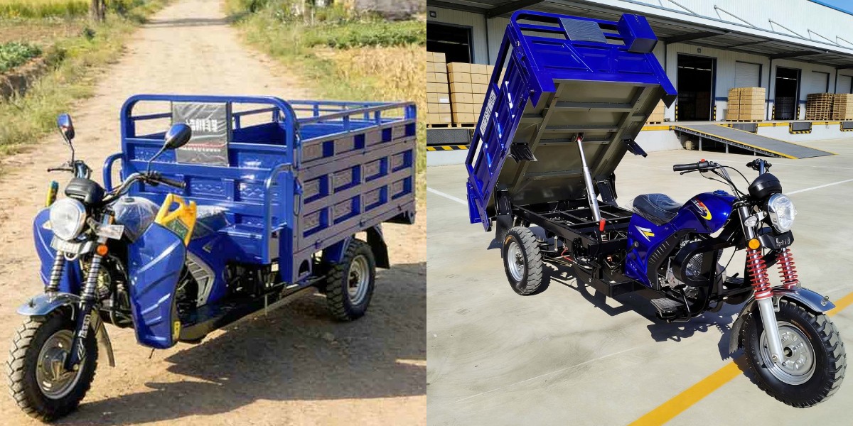 Gasoline motorized cargo tricycle