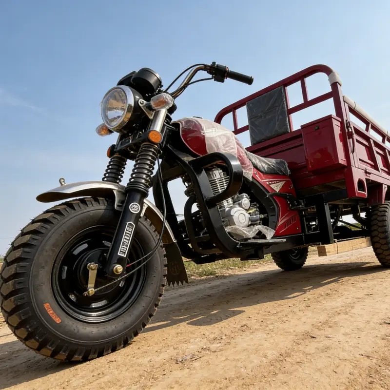 Triciclo da carico in vendita