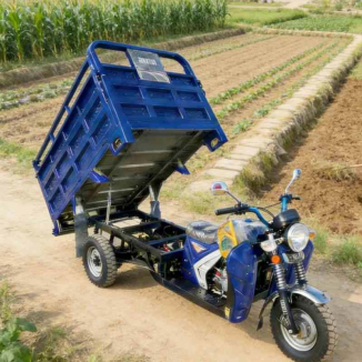 Heavy duty gasoline cargo tricycle