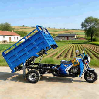 High capacity gas cargo tricycle