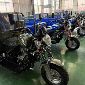 Cargo tricycle motorcycle