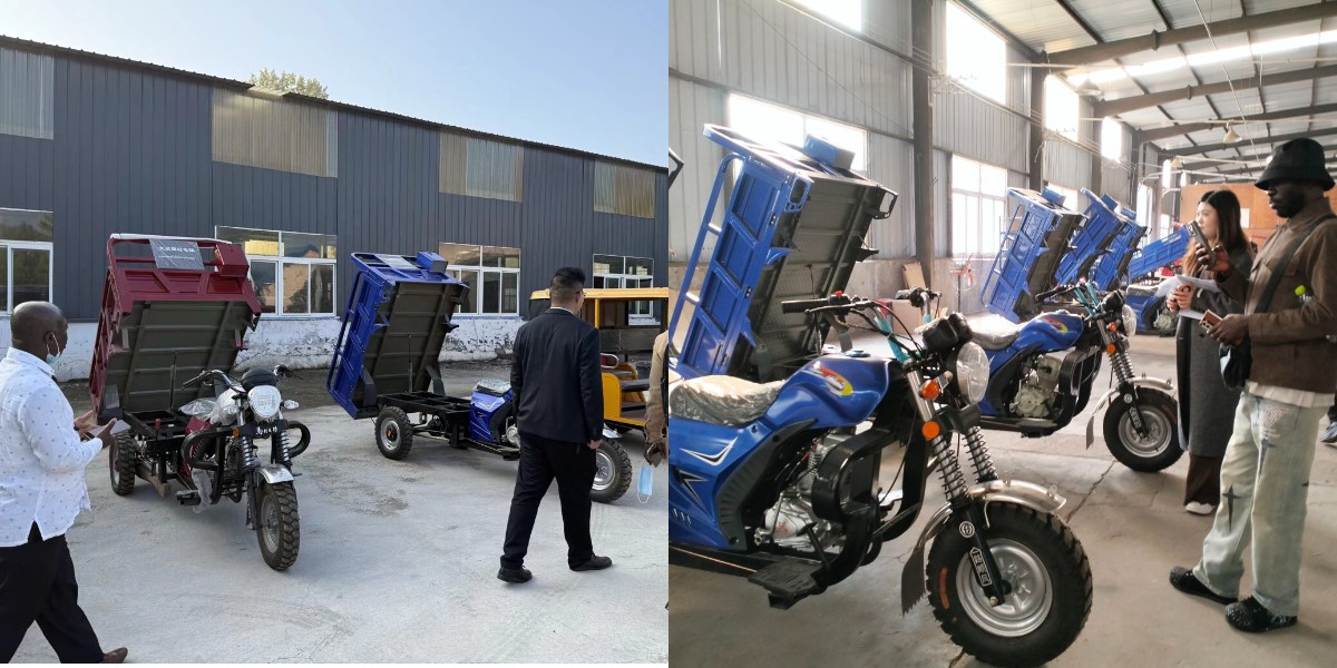 Professionelles Team