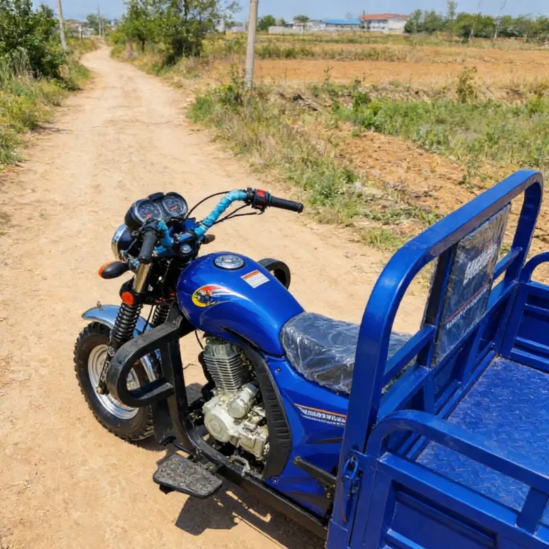 Triciclo da carico cinese