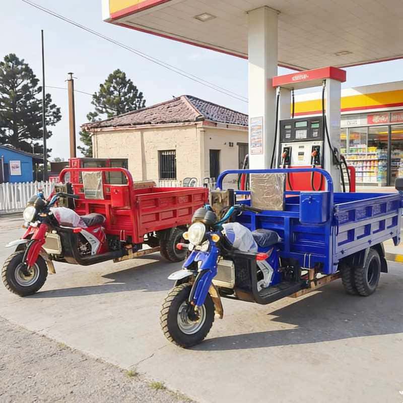 Commercial gasoline cargo tricycle