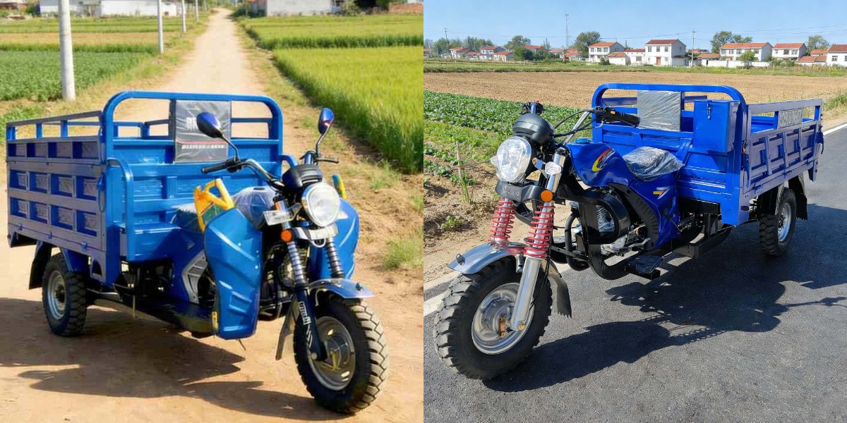 tricycle cargo à essence de qualité commerciale