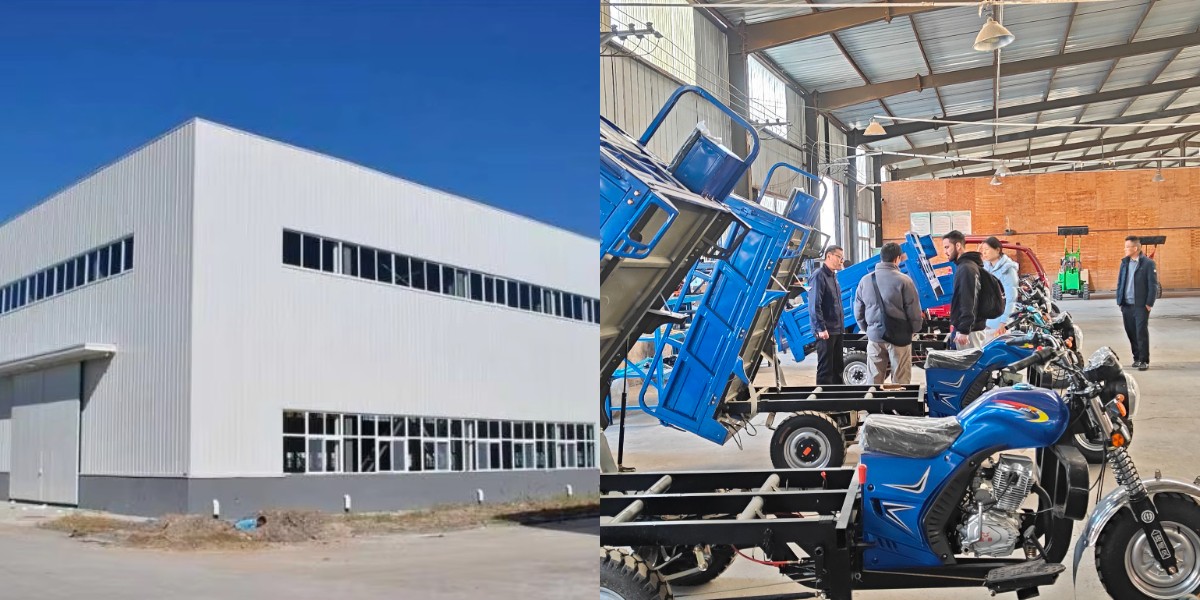 Gasoline motorized cargo tricycle