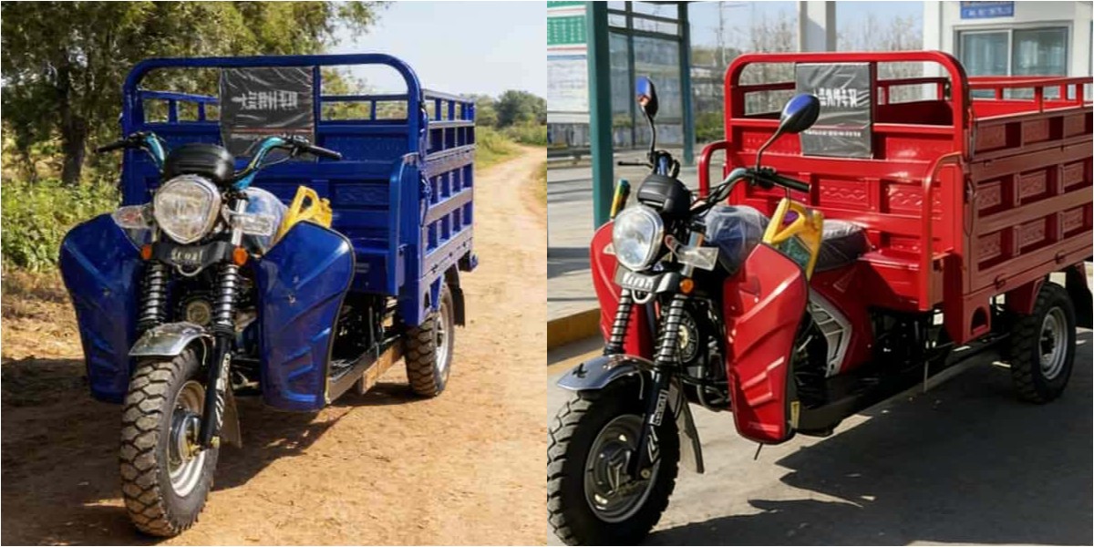 Triciclo a benzina raffreddato ad acqua da 150 cc