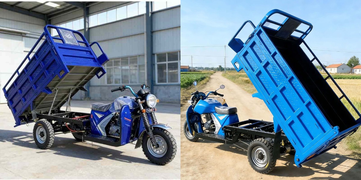 Motocicletta da carico a tre ruote Motocicletta da carico a tre ruote