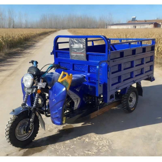 Triciclo a gasolina de 250cc