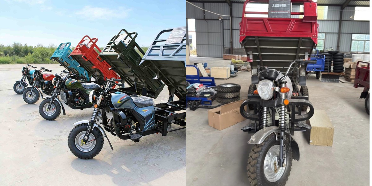 tricycle cargo à moteur essence
