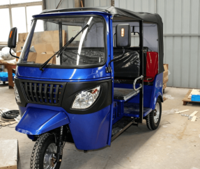 6 Seater auto rickshaw